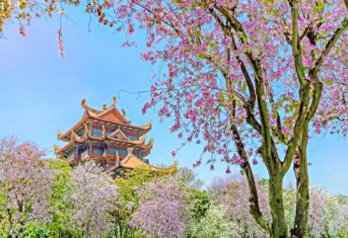 福建省十大寺院排行榜图(福建专为死人出殡的寺院)插图5