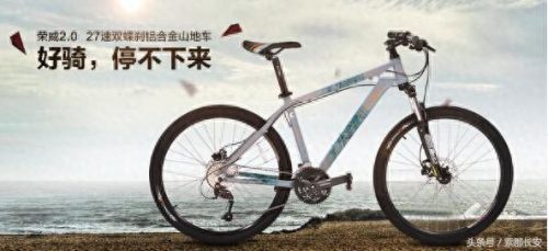 珠海十大品牌自行车排行榜(十大品牌自行车排行榜)插图4