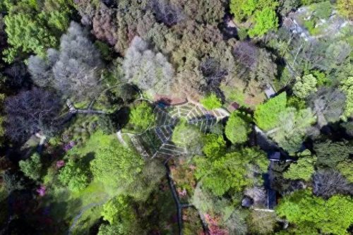 中国十大著名植物园排行榜(国内各大旅游景点排名)插图34
