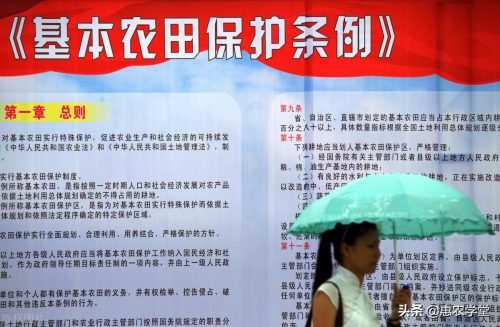 2023农村承包地补贴(关于农村承包土地补贴)插图1