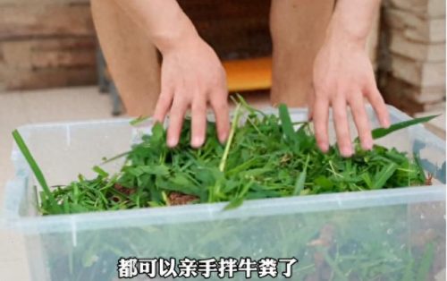 干饭博主十大排行榜(盘点十大干饭王)插图28