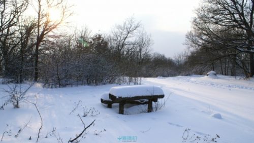 tcl手机3s优缺点(tcl手机型号大全及价格)插图27