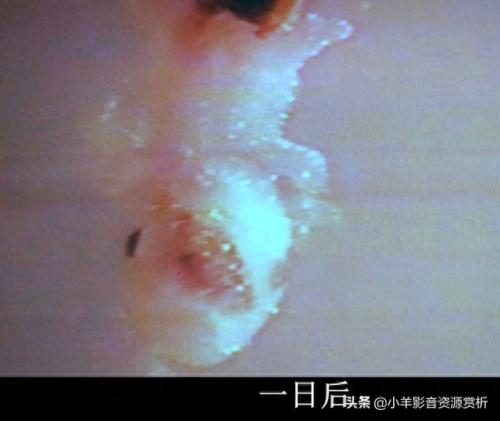 十大必看电影排行榜异种(十大免费电影神器app)插图6