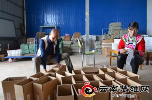 楚雄十大网红排行榜视频(楚雄十大富豪)插图