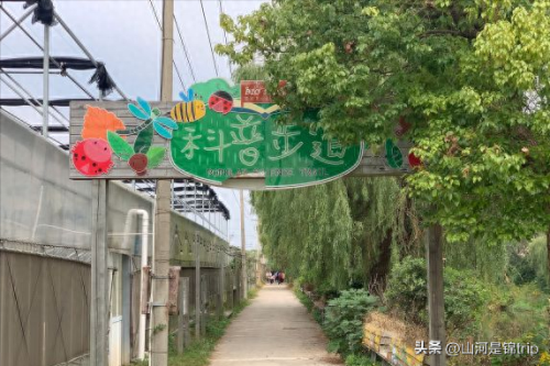 农家亲子乐园十大排行榜(农家亲子乐园)插图13
