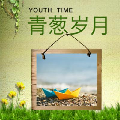 青葱岁月是指哪个年龄(青葱岁月豆蔻年华)插图2