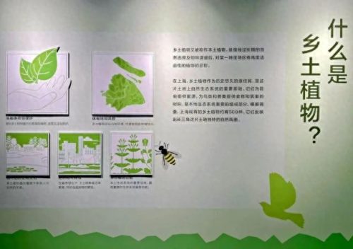 中国十大著名植物园排行榜(国内各大旅游景点排名)插图7