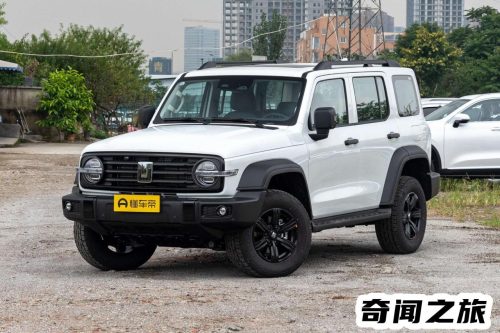 油电混动第一名(2023最新油电混合suv)插图16