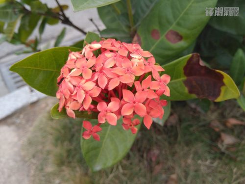 诺基亚6参数大全(诺基亚6 二代 手机怎么样)插图17