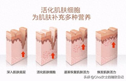 国际冻干粉十大排行榜(冻干粉口碑排行)插图6