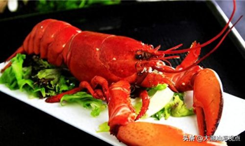 十大龙虾排行榜图片(十大最好龙虾排名)插图1