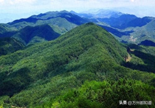 万州十大景点排行榜最新排名(万州景点排行榜前十名有哪些)插图9