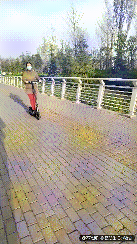 深圳十大电动滑板车排行榜(滑板车价格及图片)插图31