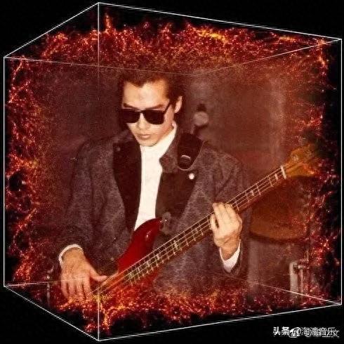 中国十大唱鸟排行榜图片(海南十大常见鸟)插图6