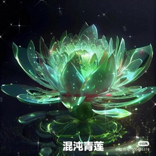 十大远古神莲排行榜图片(十大珍稀观音莲)插图6
