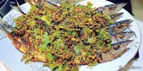 十大最好吃观赏鱼排行榜(观赏鱼鱼药十大品牌)插图9