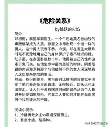 十大黑道纪实小说排行榜(主角建立黑道势力的小说)插图4