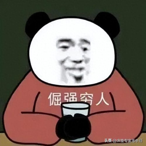 床垫十大品品牌排行榜卧虎(十大品牌床垫)插图19