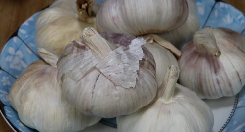 大蒜储存三年不发芽的窍门保持新鲜(大蒜储存三年不发芽视频)插图