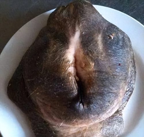 十大不可思议美食排行榜(你不知道的五大美食)插图1