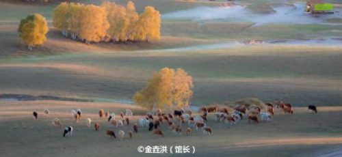 11月旅游十大排行榜(8月份旅游热门排行榜)插图27