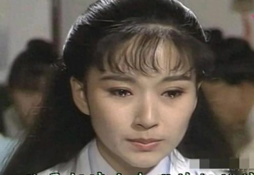 台湾公认十大美女排行榜(台湾女演员一览表)插图20