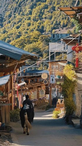 11月旅游十大排行榜(8月份旅游热门排行榜)插图32