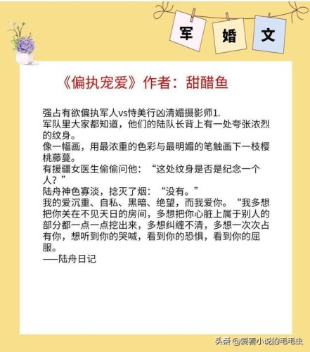 十大经典女主军婚文(必看经典军婚文)插图4