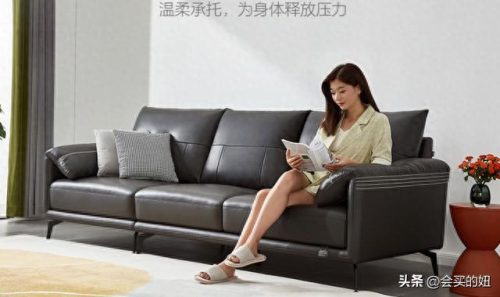 沙发牛皮品牌十大排行榜(高档牛皮沙发)插图27
