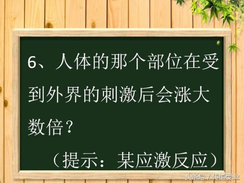 带点污很套路的谜语答案(难一点的谜语答案)插图5
