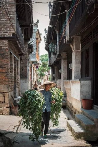 怀化地固十大排行榜(怀化必买的十大特产)插图5