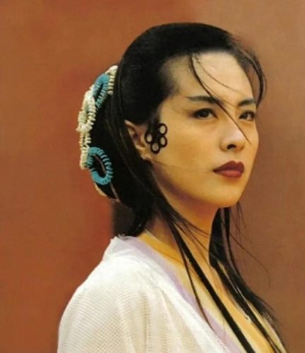 台湾公认十大美女排行榜(台湾女演员一览表)插图33