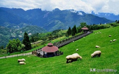 农家亲子乐园十大排行榜(农家亲子乐园)插图3