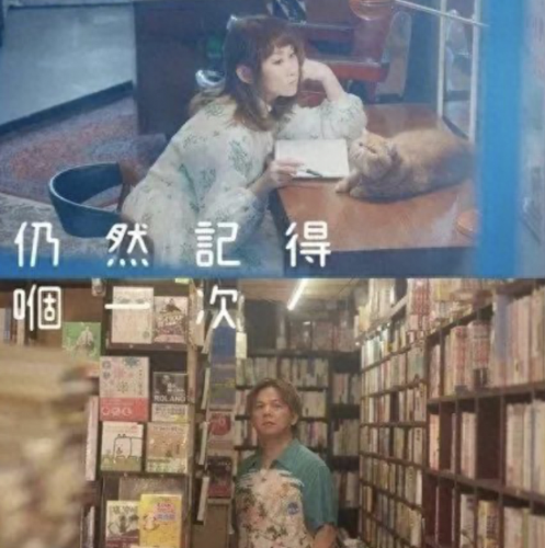 2022年粤语十大排行榜(2023年最火爆的粤语)插图17