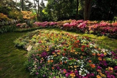 中国十大著名植物园排行榜(国内各大旅游景点排名)插图35