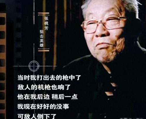中国十大狙击手步枪排行榜(中国狙击手十大排名)插图14