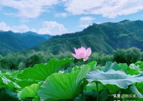 搜索商洛市十大景点排行榜(商洛一日游景点大全)插图22