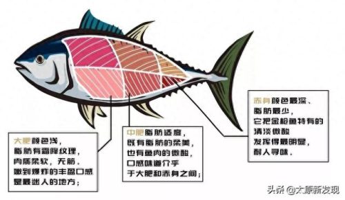 太原十大日料店排行榜图片(太原高端日料排行榜前十名)插图11