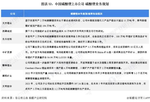 中国碳酸锂十大公司产量排名(中国锂电池十大排名)插图5