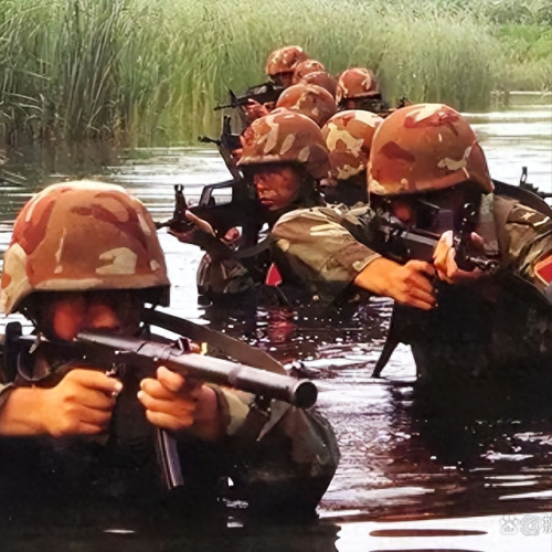 国家十大特种兵排行榜图片(特种兵十大必备技能)插图3