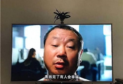 未来十大好演员排行榜名单(十大面瘫演员)插图41