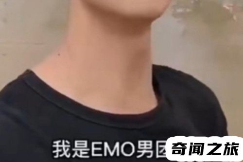 emo 是什么梗网络用语(emo翻译成中文意思)插图2
