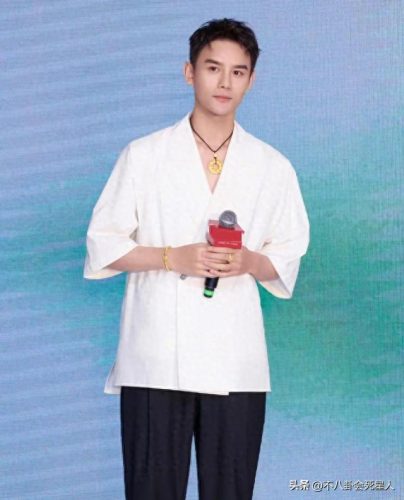 十大不婚男明星排行榜(中国最美十大明星)插图11