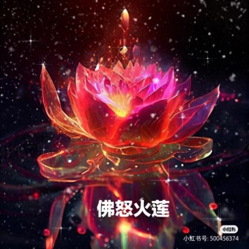 十大远古神莲排行榜图片(十大珍稀观音莲)插图8