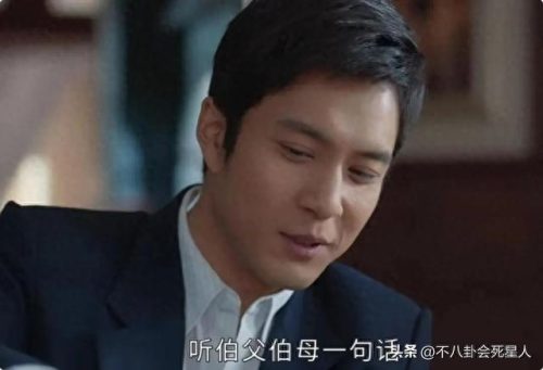 最好看十大电视剧排行榜(刘小锋十大经典电视剧)插图20