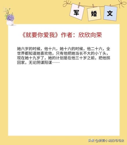 十大经典女主军婚文(必看经典军婚文)插图1