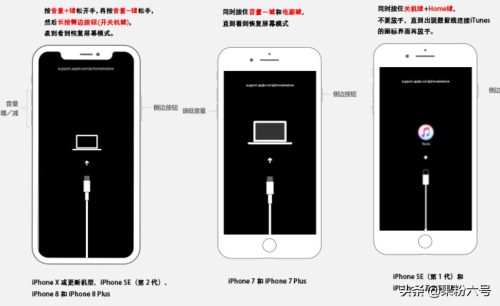 10秒找回锁屏密码(iphone的锁屏密码忘记到底怎么办)插图2