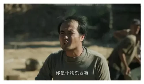 都挺好十大电视剧排行榜(都挺好1-46免费观看)插图8