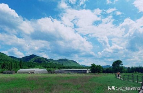 农家亲子乐园十大排行榜(农家亲子乐园)插图8