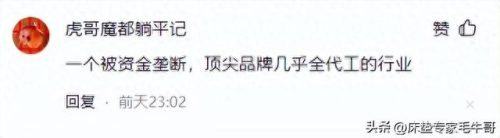 床垫十大品品牌排行榜卧虎(十大品牌床垫)插图2